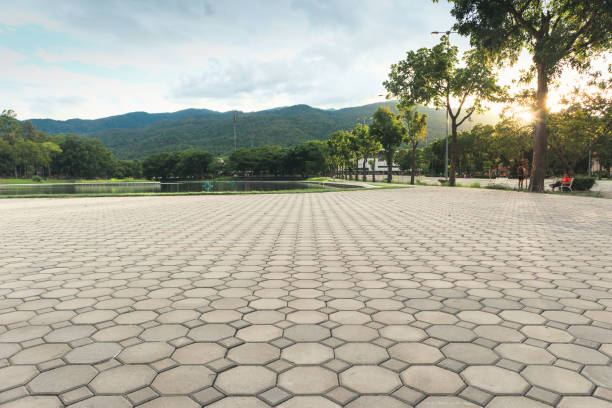 Reasons to Select Us for Your Driveway Paving Requirements in Charlottesville, VA