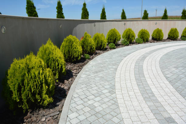 Best Commercial Driveway Pavers  in Charlottesville, VA